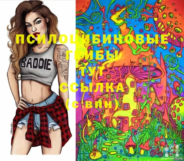 а пвп мука Магас