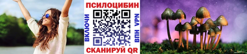 Псилоцибиновые грибы мицелий  Купить закладки  Саки 